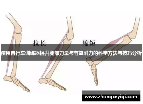 使用自行车训练器提升腿部力量与有氧耐力的科学方法与技巧分析