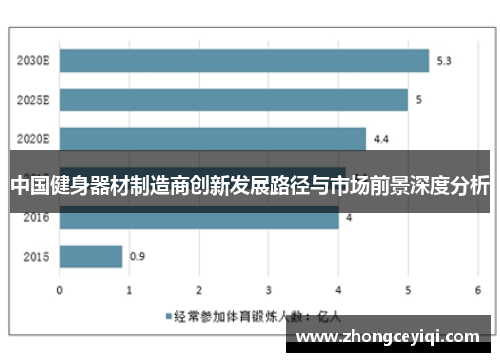 中国健身器材制造商创新发展路径与市场前景深度分析