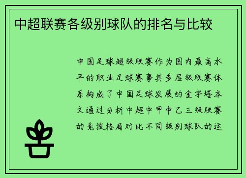 中超联赛各级别球队的排名与比较
