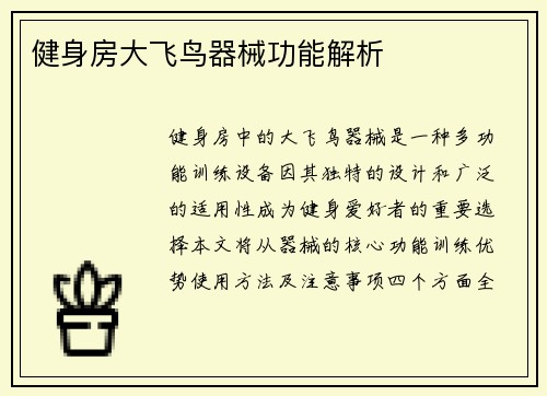 健身房大飞鸟器械功能解析